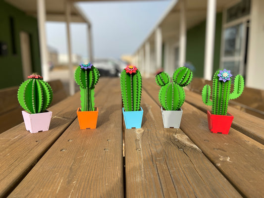 Conjunto de Cactus decorativo de madera pintado aleatoriamente con flor de colores y maceta, figura artesanal sostenible ideal para regalar o decorar con estilo natural y alegre.
