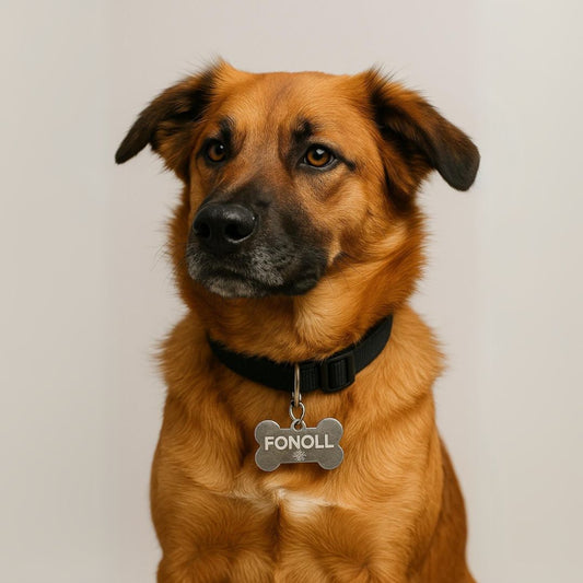 Xapa premium per a mascotes amb forma d'os