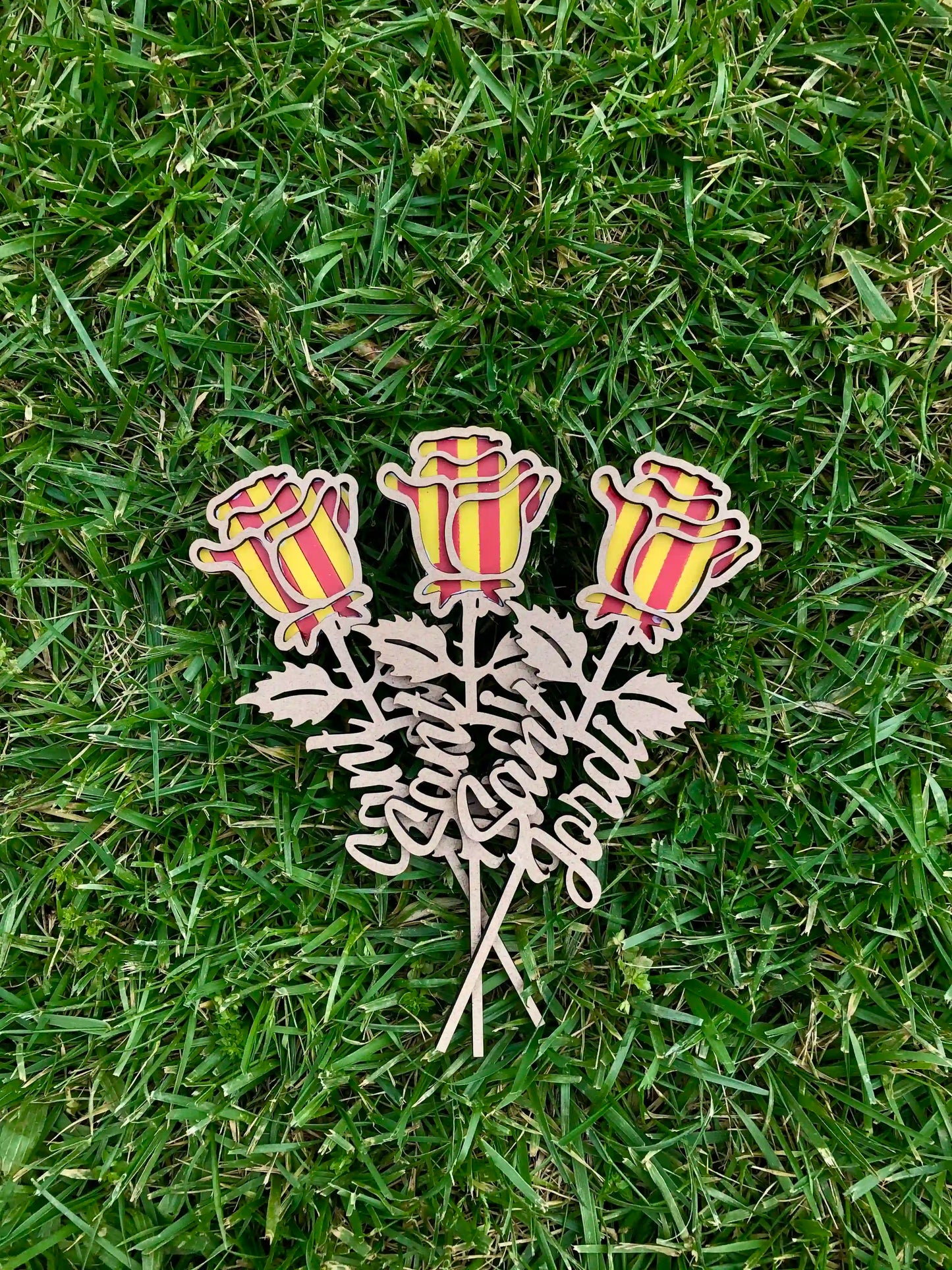 Rosa de Sant Jordi con Senyera